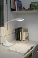 Лампа настольная Otto white (52065FAR)