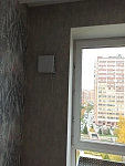Антон Л.