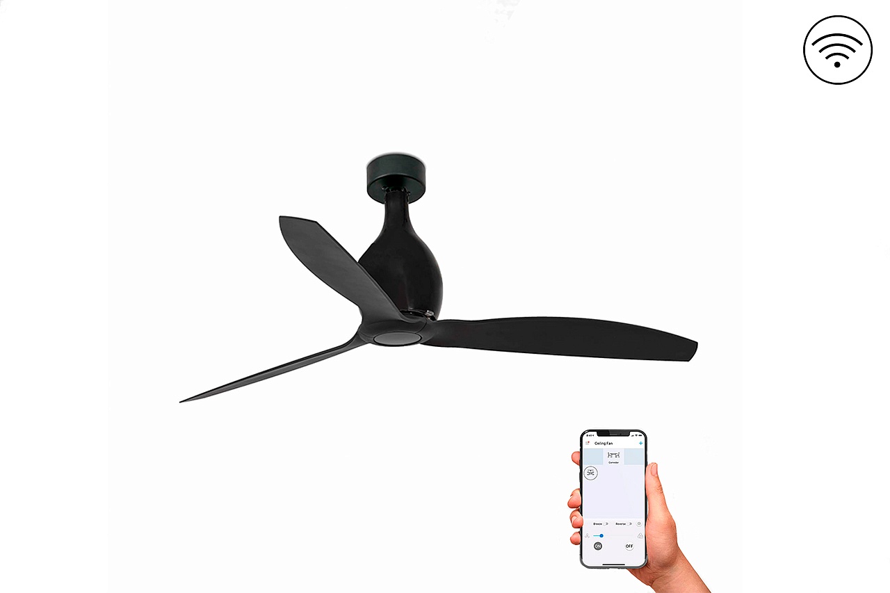 Потолочный вентилятор Mini Eterfan Black Matt DC Smart (32030WPFAR)