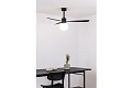 Люстра вентилятор Amelia L Ball Led Black DC 33761-26FAR