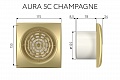 Вытяжной осевой вентилятор Aura 5C champagne (133893)