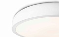 Светильник потолочный Cocotte matt white (64250FAR)